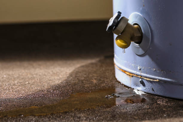 Best Water damage restoration cost  in Tukwila, WA